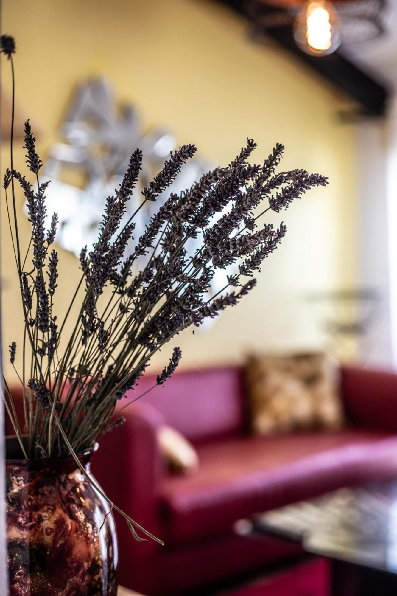 Le Dupe Aparthotel Brissac-Quince Bagian luar foto